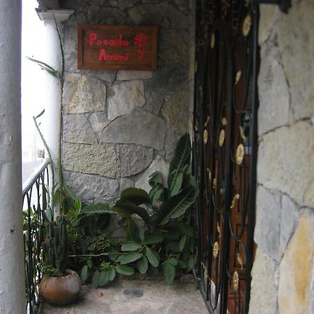 Posada Ammi Cuetzalán del Progreso Dış mekan fotoğraf